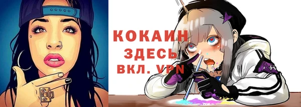 apvp Новодвинск