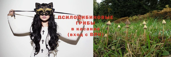 apvp Новодвинск